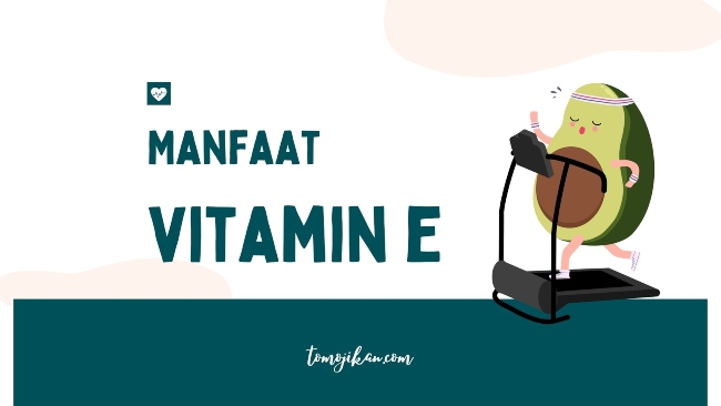 manfaat vitamin e untuk kesehatan