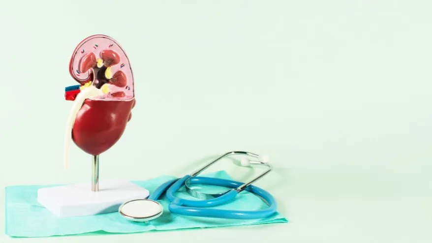 penyebab gagal ginjal akut pada anak